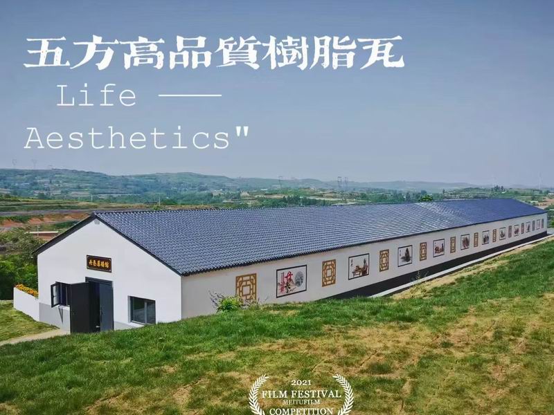 合成樹脂瓦案例